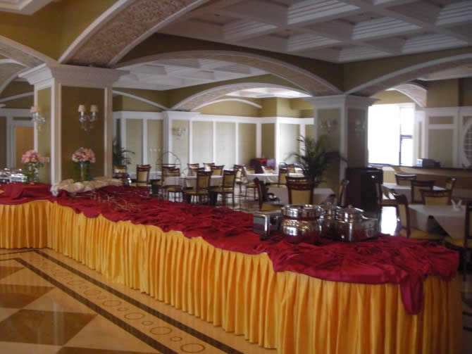 ����Ƶ����