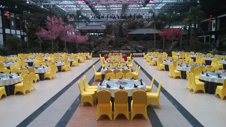 ����������̬����